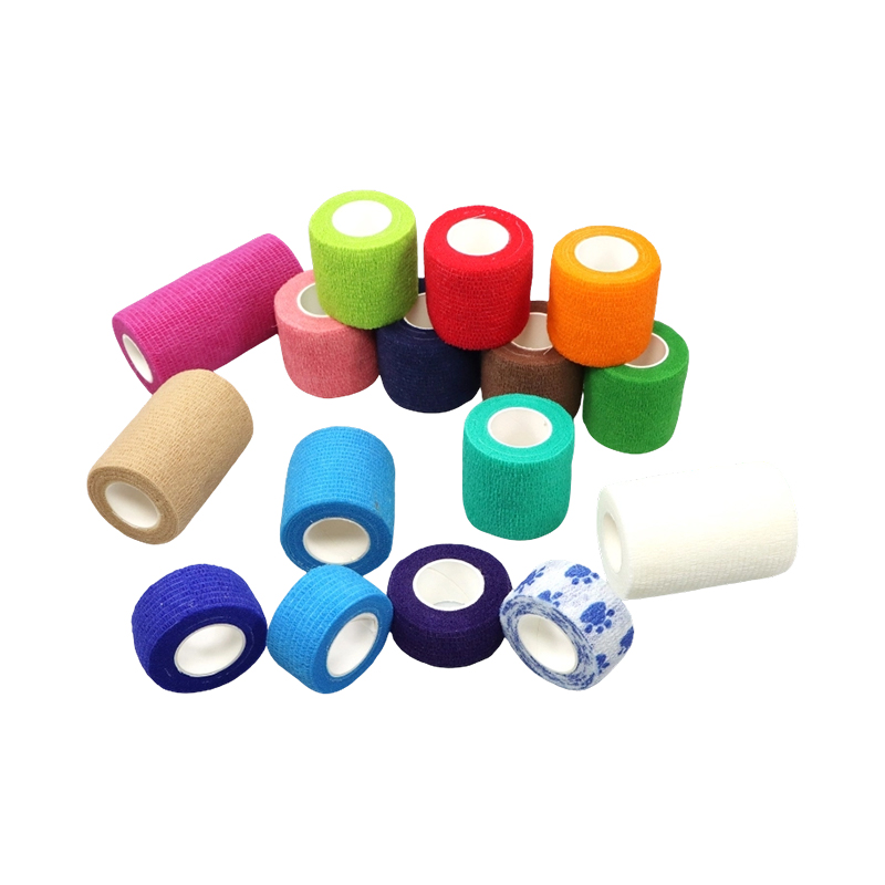 Shanghai Qinghong Prodotti sanitari Co., Ltd.